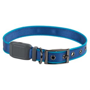 Nite Ize NiteDog Rechargeable LED Collar - Large - Blue
