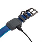 Nite Ize NiteDog Rechargeable LED Collar - Medium - Blue
