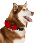 Nite Ize RadDog All-In-One Collar + Leash - Large - Red