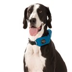 Nite Ize RadDog All-In-One Collar + Leash - Extra-Large - Blue